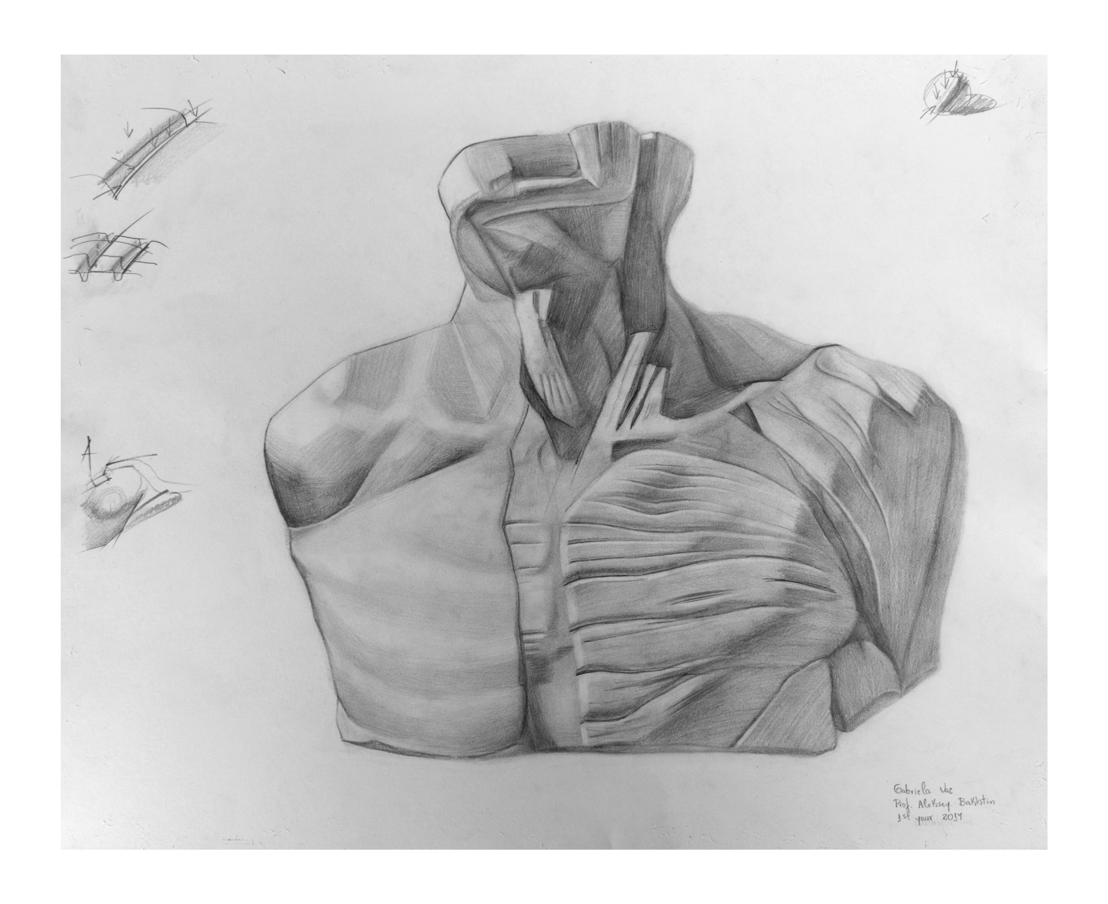 Male torso cast, graphite on toned paper, 30 x 35 cm, 2017