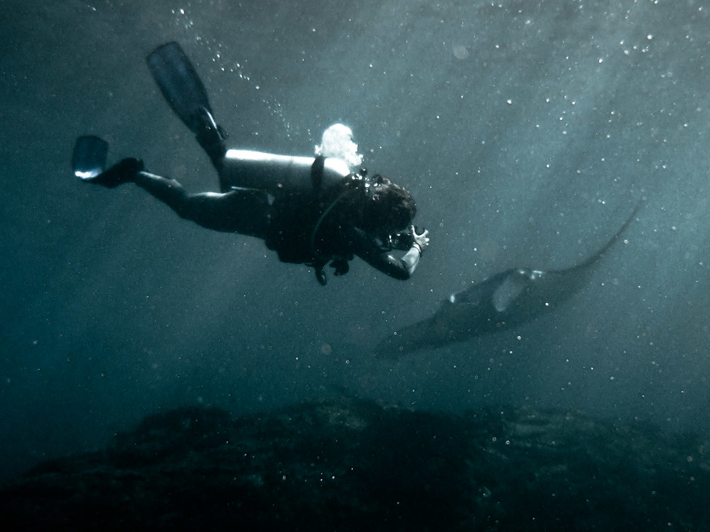Beneath the Waves: Scuba Discoveries