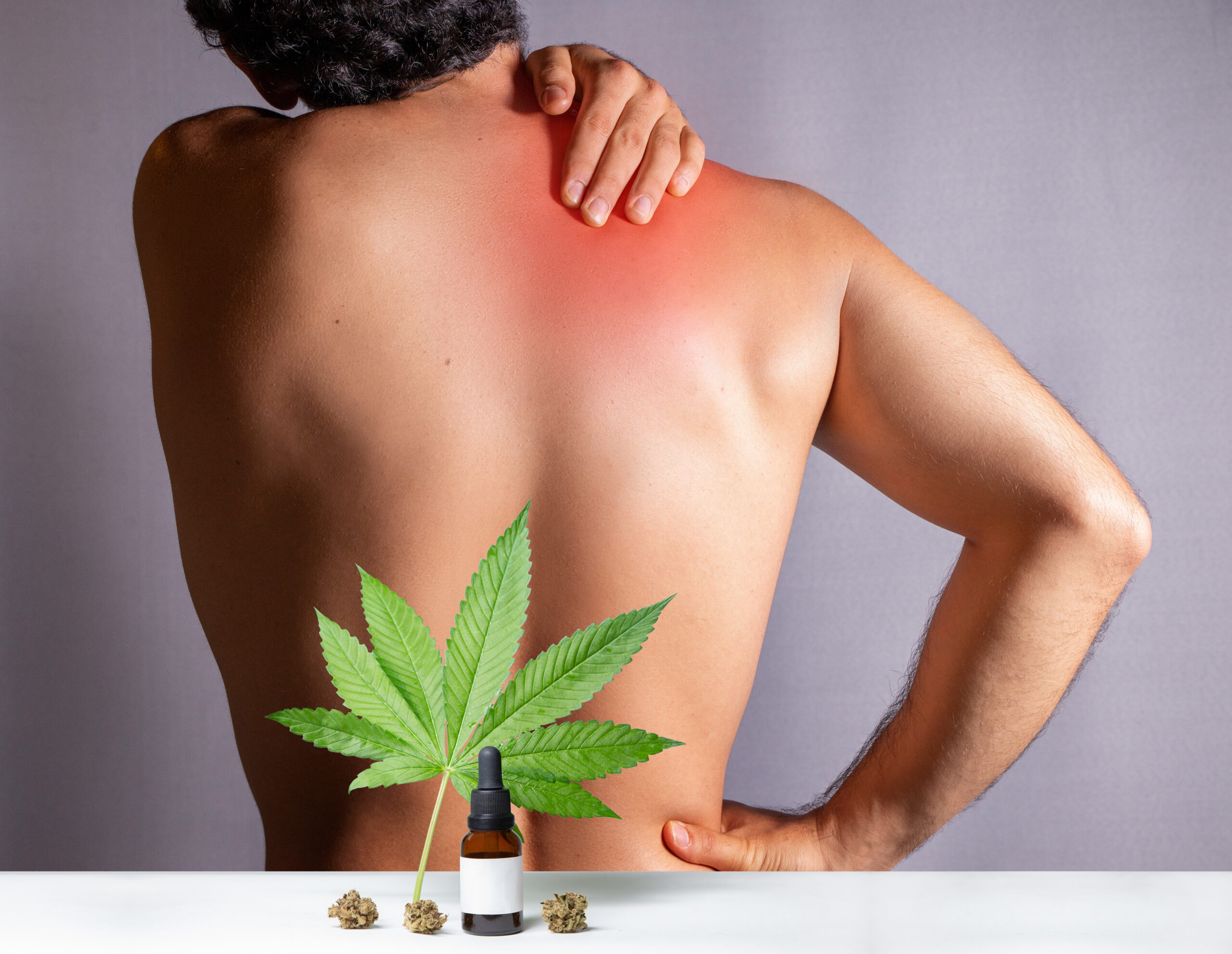 CBD and Chronic Pain – A Comprehensive Guide
