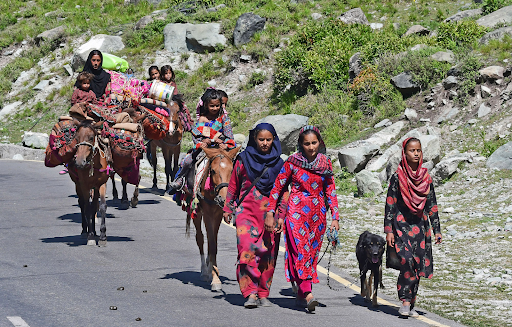 Kashmir’s Nomadic Tribes: Tribes of the Mountains
