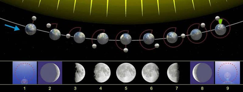 Foto-3-Luna-di-settembre-e-ciclo-lunare-moto-della-luna-durante-il-mese-sinodico-min