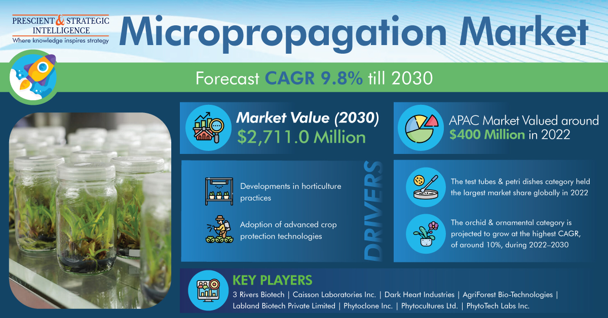 Micropropagation Market