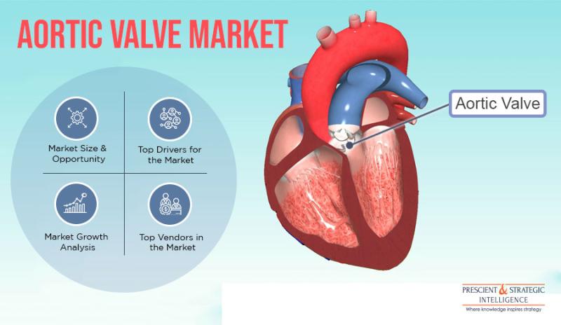 Aortic Valve Market