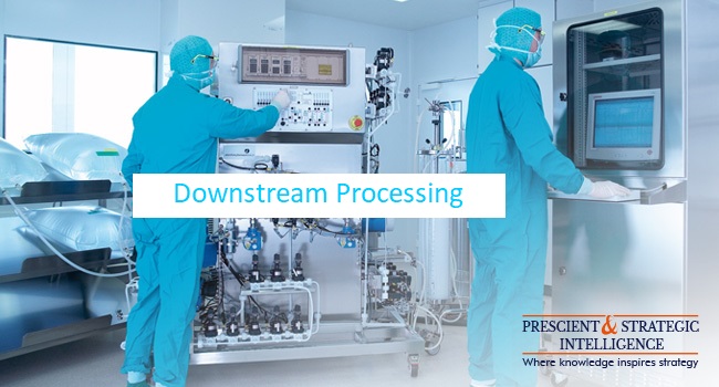 Downstream Processing Industry