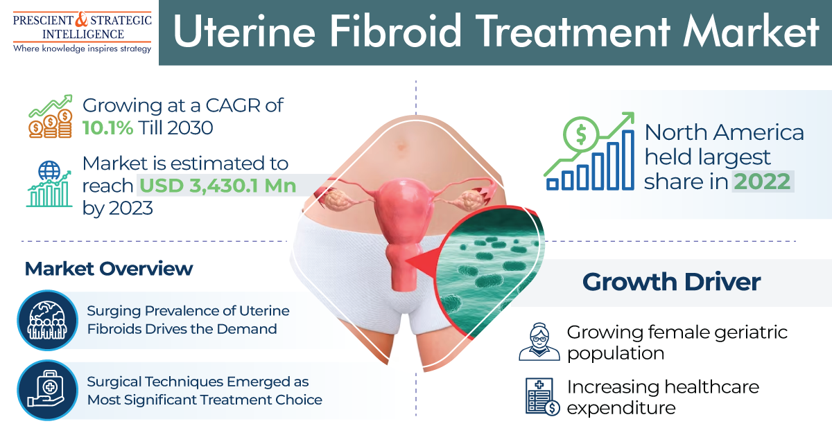 Uterine Fibroid Treatment Market